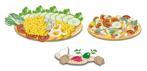 salade dessin vectoriel illustrator